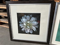 Schilderij ca. 45x50cm (4x) - afbeelding 5 van  7