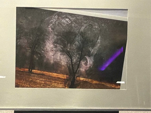 Schilderij “eva verhoeven- landschap ii” - afbeelding 2 van  5