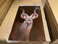 Schilderij gehard glas kudu
