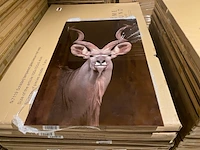 Schilderij gehard glas kudu - afbeelding 3 van  4