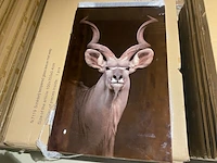 Schilderij gehard glas kudu - afbeelding 4 van  4