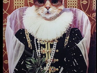 Schilderij gehard glas, mooie kat - afbeelding 1 van  3