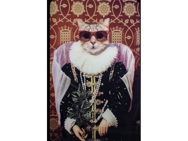 Schilderij gehard glas, mooie kat - afbeelding 1 van  1