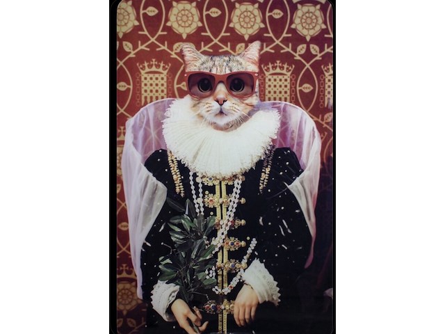 Schilderij gehard glas, mooie kat - afbeelding 1 van  1