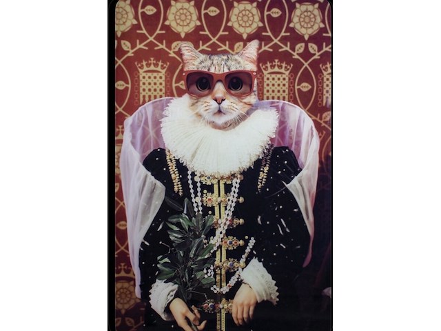 Schilderij gehard glas, mooie kat - afbeelding 1 van  1