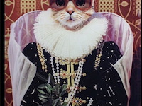 Schilderij gehard glas, mooie kat - afbeelding 1 van  1