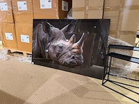 Schilderij gehard glas neushoorn, homebound