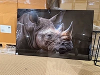 Schilderij gehard glas neushoorn, homebound - afbeelding 3 van  4