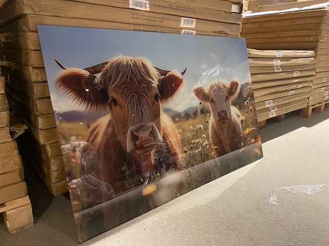 Schilderij gehard glas - afbeelding 1 van  3