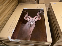 Schilderij gehard glas - afbeelding 1 van  4
