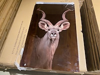 Schilderij gehard glas - afbeelding 2 van  4