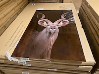 Schilderij gehard glas - afbeelding 3 van  4