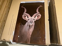 Schilderij gehard glas - afbeelding 4 van  4