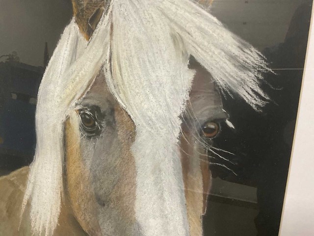 Schilderij gerard luten (paard akersloot) - afbeelding 2 van  6