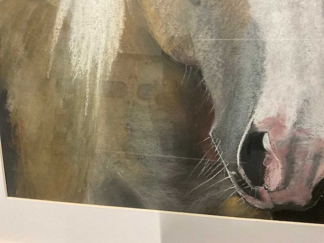 Schilderij gerard luten (paard akersloot) - afbeelding 3 van  6