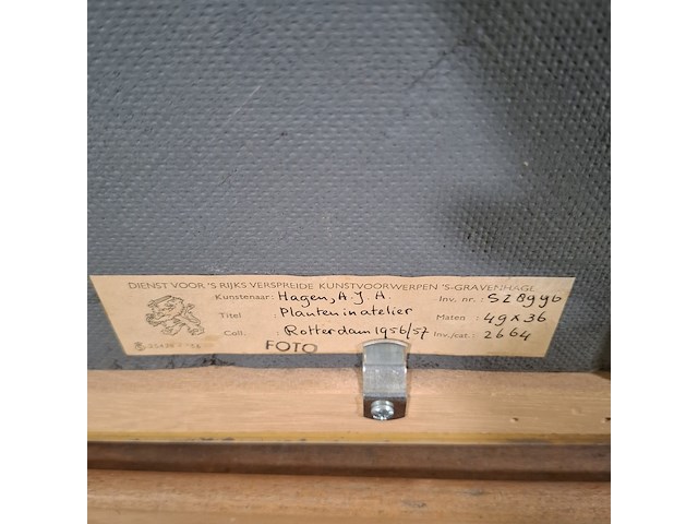 Schilderij, hagen, planten in atelier, 1956 - afbeelding 7 van  7