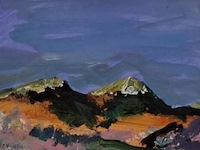 Schilderij, maya wildevuur (1944-2023), texel, 1995 - afbeelding 1 van  6