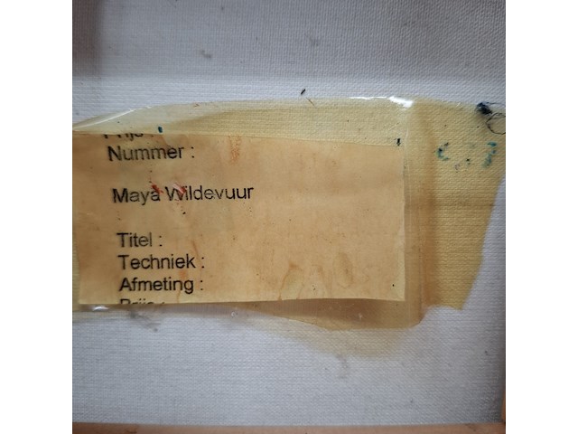 Schilderij, maya wildevuur, 2005 - afbeelding 8 van  8