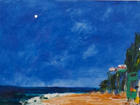 Schilderij, maya wildevuur, palmen