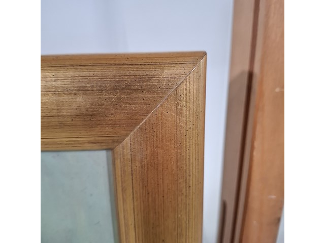 Schilderij op paneel, r. van der borden, 12 bloemstudies, bizarre zaailing - afbeelding 6 van  8