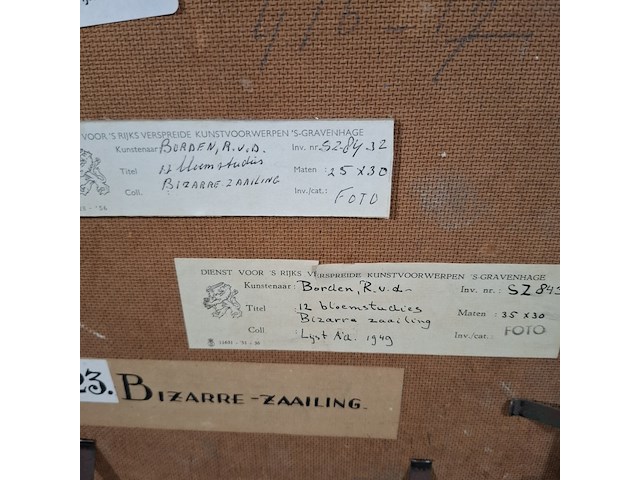 Schilderij op paneel, r. van der borden, 12 bloemstudies, bizarre zaailing - afbeelding 8 van  8