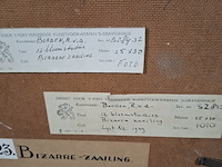 Schilderij op paneel, r. van der borden, 12 bloemstudies, bizarre zaailing - afbeelding 8 van  8