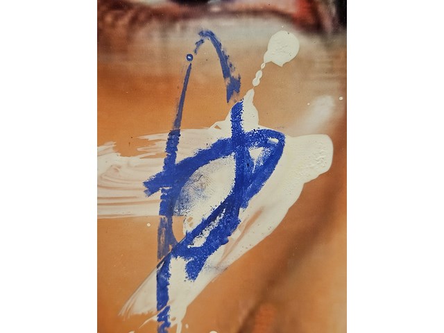 Schilderij, peter klashorst, acryl - afbeelding 4 van  6