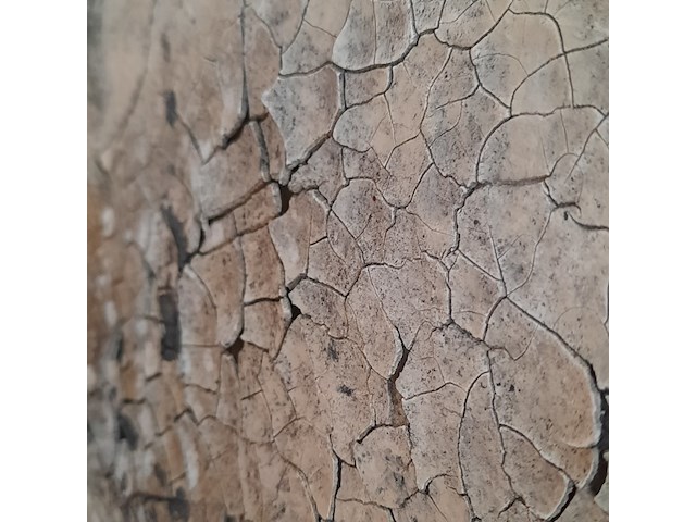 Schilderij raw interiors - afbeelding 6 van  6