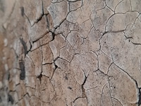 Schilderij raw interiors - afbeelding 6 van  6