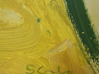 Schilderij sita geerling, fries landschap - afbeelding 4 van  5