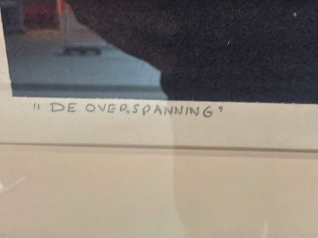 Schilderij “willem de vries - de overspanning “ - afbeelding 4 van  6