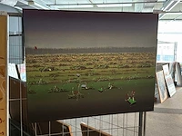 Schilderij “willem de vries- hilversumse meent” - afbeelding 2 van  5