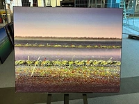 Schilderij “willem de vries- naardermeer i”