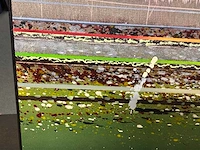Schilderij “willem de vries- spoorlijn langs water - afbeelding 4 van  6