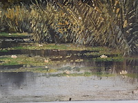 Schilderij - afbeelding 4 van  5