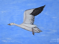 Schilderij - afbeelding 2 van  6