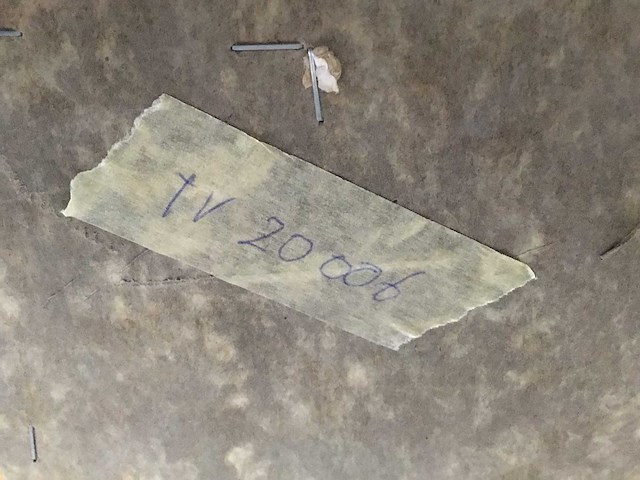 Schilderijen van twan van de vorstenboch (18x) - afbeelding 9 van  46