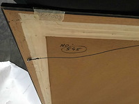 Schilderijen van twan van de vorstenboch (18x) - afbeelding 17 van  46