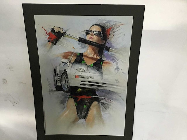 Schilderijen van twan van de vorstenboch (18x) - afbeelding 18 van  46