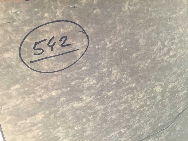 Schilderijen van twan van de vorstenboch (18x) - afbeelding 19 van  46