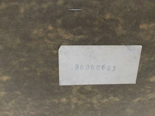 Schilderijen van twan van de vorstenboch (18x) - afbeelding 32 van  46