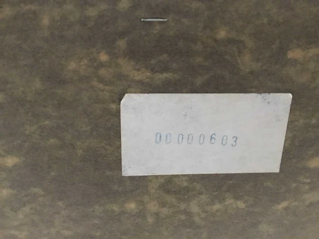 Schilderijen van twan van de vorstenboch (18x) - afbeelding 56 van  65