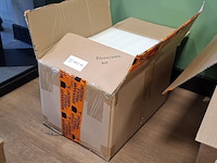 Schildpad beeld "dior", lior24, blauw - afbeelding 6 van  6