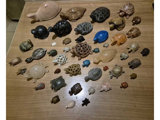 Schildpadden verzameling van steen - afbeelding 1 van  6