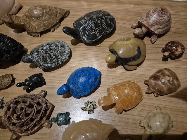 Schildpadden verzameling van steen - afbeelding 2 van  6