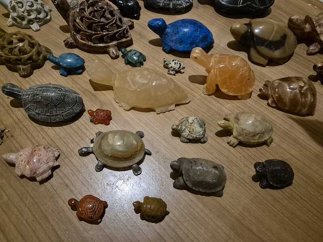 Schildpadden verzameling van steen - afbeelding 3 van  6