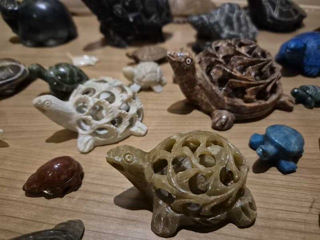 Schildpadden verzameling van steen - afbeelding 4 van  6