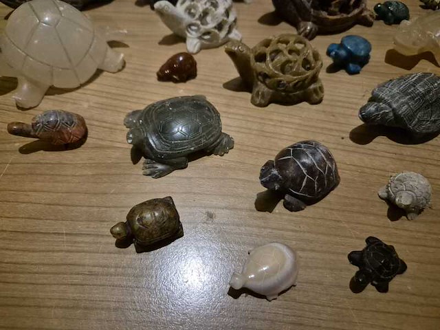 Schildpadden verzameling van steen - afbeelding 5 van  6
