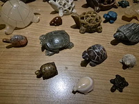 Schildpadden verzameling van steen - afbeelding 5 van  6