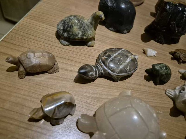 Schildpadden verzameling van steen - afbeelding 6 van  6